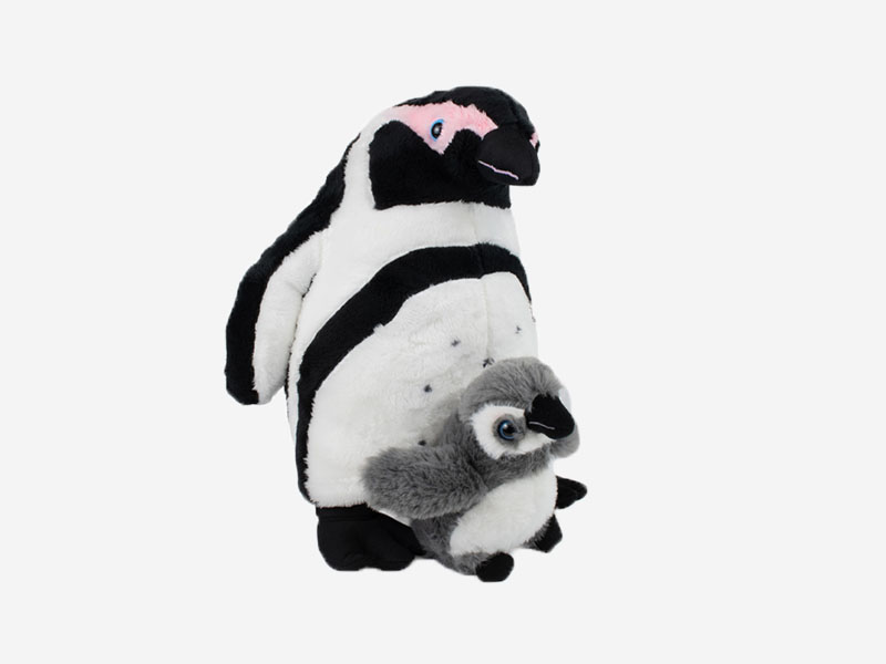 Mother And Baby African Penguin