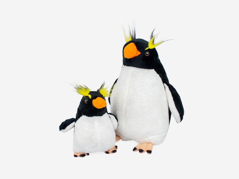 Rockhopper Penguin